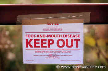 APHIS secures test kits for ASF, FMD