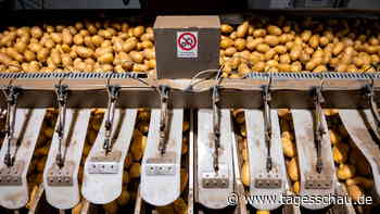 Starker Preisauftrieb 2022: Kartoffel 66 Prozent teurer