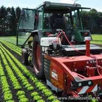 Roboter senkt Pflanzenschutzmittelverbrauch im Gemüsebau