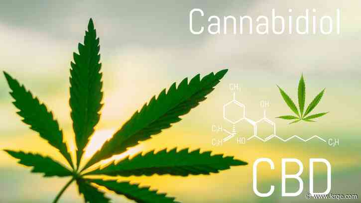 CBD is not a cure-all – here's what science says about its real health benefits