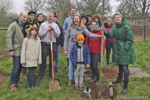 Ouders en leerkrachten creëren klimaatgezonde speelplaats