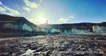 Why coming to Flamborough at low tide can transform your visit from rock pools to amazing surprises