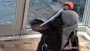 Woman's face slashed in attack at Spadina subway station, police say