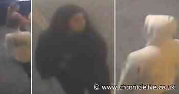 Police witness appeal after reports of rape in Sunderland