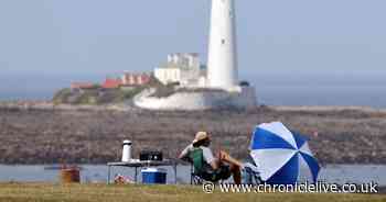 At-risk bus routes in Whitley Bay could be saved after petition set up