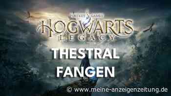 Hogwarts Legacy: Thestral fangen – So bekommt ihr das seltene Reittier