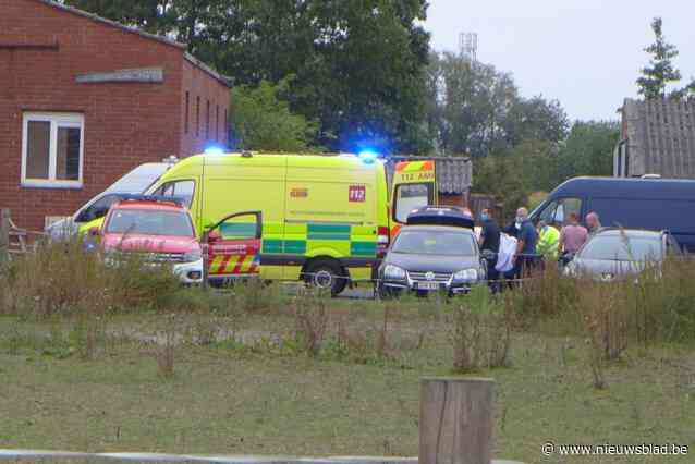 Nederlands kopstuk ontkent betrokkenheid bij speedlab in varkensstal in Lendelede: “Hij zocht enkel een plek om cannabis te kweken”