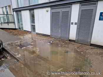 Hornsey flat tenants want guarantee of no more sewage floods