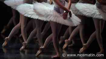 Un directeur de ballet allemand étale des crottes de chien sur le visage d'une journaliste car il était mécontent de ses critiques