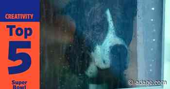 The top 5 Super Bowl campaigns you need to know about right now