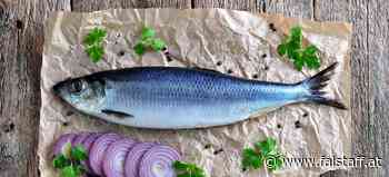 Heringsschmaus 2023: Restaurants in Österreich