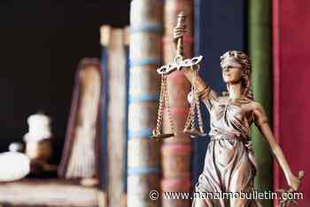 Judge orders Port Coquitlam pit bull named ‘Kujo’ killed after 2 attacks