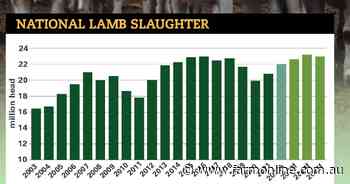 Aussie sheep flock set to break 15 year record