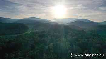 What we found in this pristine rainforest has been hidden from the world