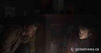 Could fungi rule the world like in HBO’s ‘The Last of Us’? Probably not, says Ontario professor