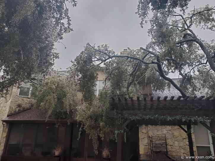 Downed tree limbs? How to find out who offers curbside pickup in your neighborhood