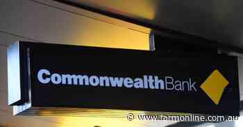 Commonwealth Bank suspends branch closures - for now