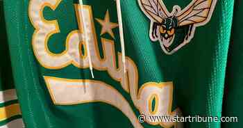 Edina schools paid $150,000 to artist for use of hornet logo