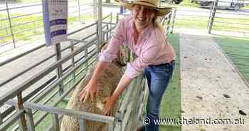Establishing a Merino flock is Jasmine's aim