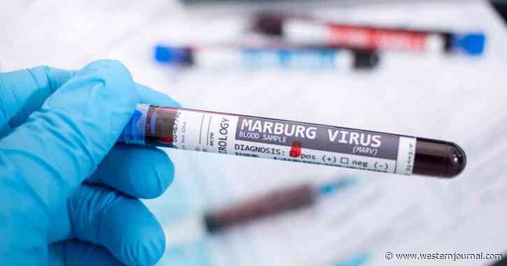 World Health Organization Announces Outbreak of Deadly Ebola-Related Virus