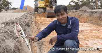 Soil research redefines yield potential