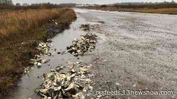 Gloucester's sinking zip code: The impact of sea level rise in a rural Virginia community
