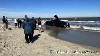 Endangered whale washes ashore in Virginia Beach, fourth death in the region so far this year