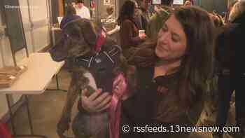 Fans of local participants in 'Puppy Bowl 2023' gather for a 'tail-gate' party