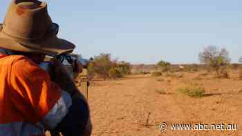 Pastoralists 'blindsided' by firearms act re-write after weapons cache discovery