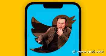 Twitter Feeds Suddenly Flooded With Elon Musk Tweets and Only Musk Tweets     - CNET