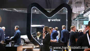 Fintech: Versicherungs-Start-up Wefox sammelt weitere Millionen Dollar ein