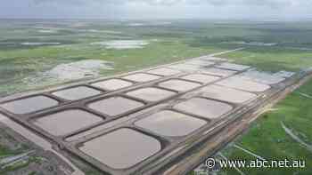 Plans for major prawn farm on remote WA/NT cattle station dead in the water