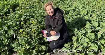 Spotlight on grains emissions accounting