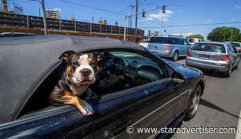 Kokua Line: Will lost title prevent car’s disposal?