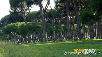 Disabile pestato dal branco nel parco