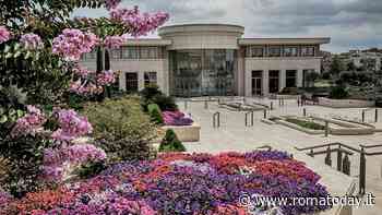 Visite guidate gratuite al Centro Visitatori del Tempio di Roma