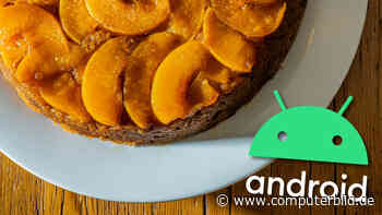 Android 14: Neue Features für Third-Party-App-Stores