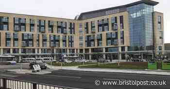 Bristol hospital's job that will make you fall in love 'over and over again'