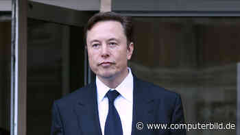 Übernimmt Elon Musk Manchester United?