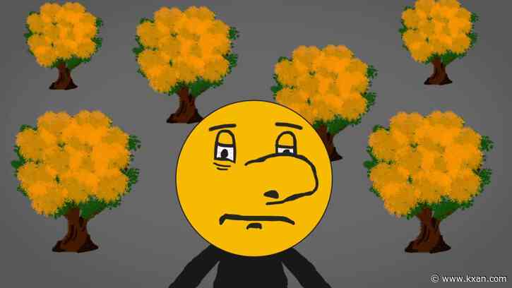 How does the weather affect my allergies?