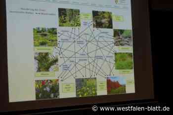 Löhne: Wasserwelten im Naturgarten