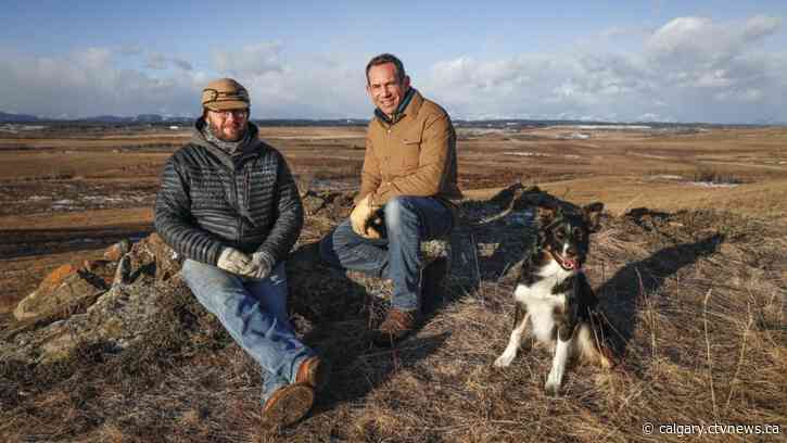 Southern Alberta ranchers conserve land to help protect drinking water for cities