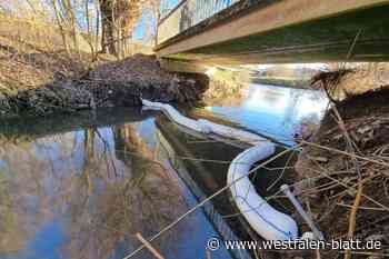 Warburg: Öl fließt in den Siekbach und die Diemel