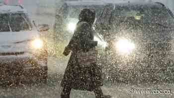 Winter storm blasts parts of Nova Scotia and Newfoundland