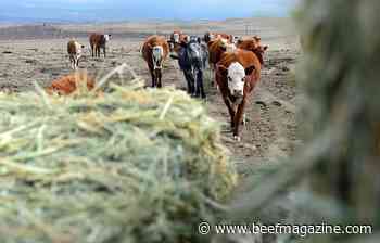 Deciphering a hay test