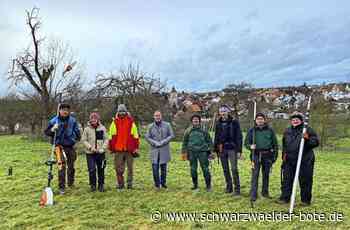 Baumpflege in Egenhausen: Pilotprojekt für wertvolle Obstbäume