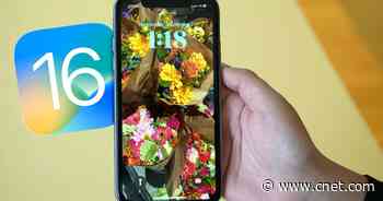 iOS 16.3.1 Could Break Google Photos App, But There's a Fix     - CNET