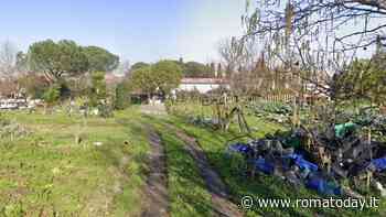 "Riqualifichiamo i 5 ettari di verde vicino al parco delle Tombe Latine"