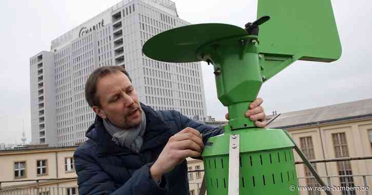 Was der Klimawandel für Heuschnupfen-Geplagte bedeutet