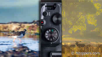 Assume your Camera Setting Are Wrong, Even if They’re Correct